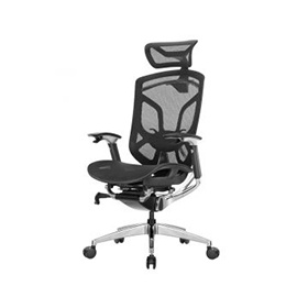 Ergonomic Chairs