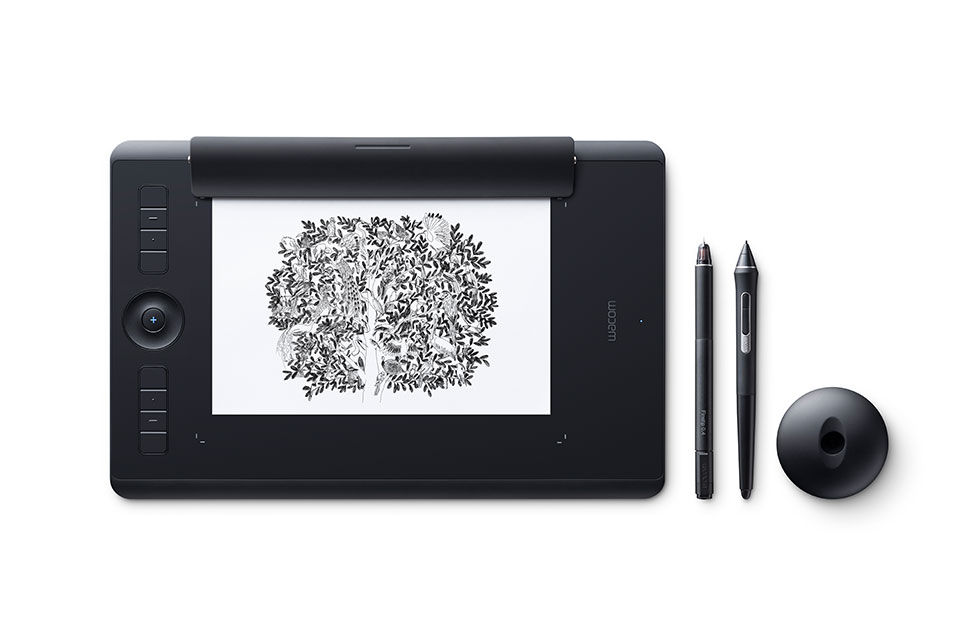 Intuos Pro Modern Ego